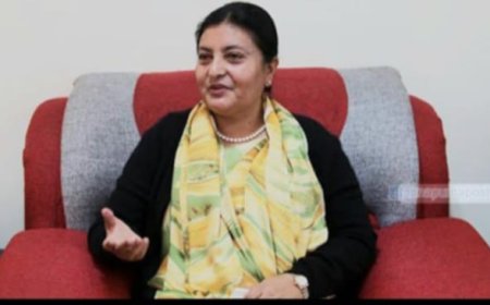 कसैले चाहँदैमा आफ्नो पार्टी सदस्यता खारेज नहुने भण्डारीको तर्क