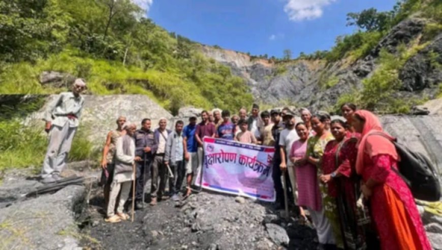 सुनपहिरोमा गाउँपालिकाद्वारा वृक्षारोपणःपहिरोको समस्या न्युनिकरण हुने विश्वास
