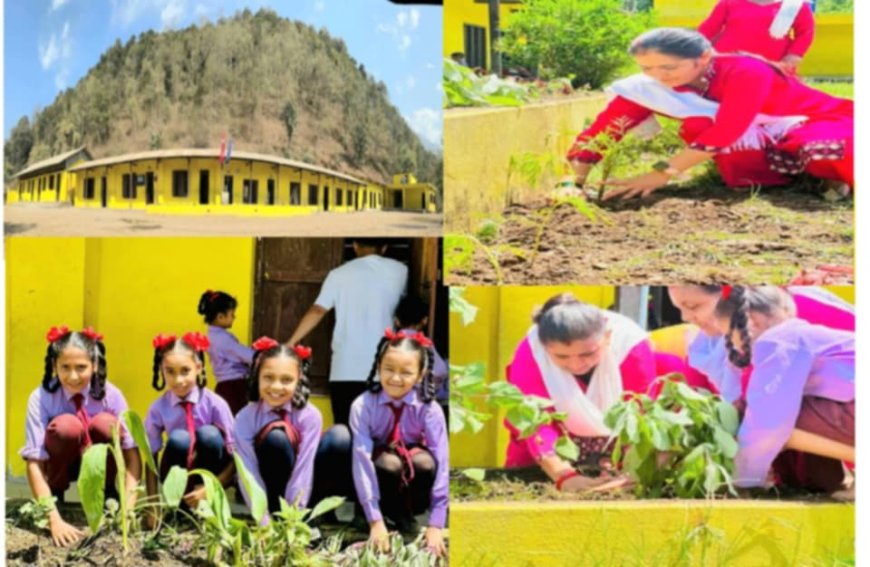 विद्यालयद्वारा वृक्षारोपण तथा प्रथम त्रैमासिक परीक्षाको नतिजा प्रकाशन