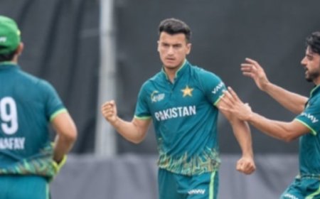 हङकङ सिक्सेस क्रिकेटको उपाधि पाकिस्तानलाई